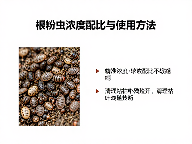 根粉蚧用内吸杀虫剂，精准农药浓度配比与使用方法，附清理枯叶残渣技巧