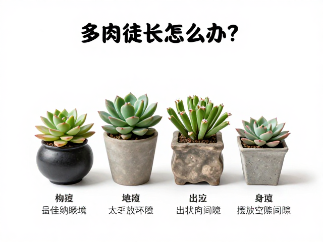 摆放空间与物理间隙的科学设定