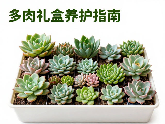 病虫害预防与日常修剪维护