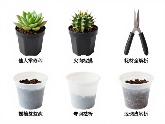 播种与育苗容器:透气性与保湿的平衡之道