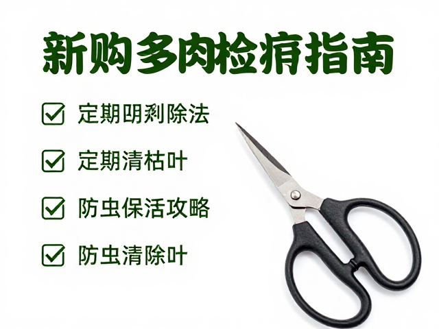 新购多肉检疫指南，剪刀镊子刮除法，定期清枯叶，防虫保活攻略