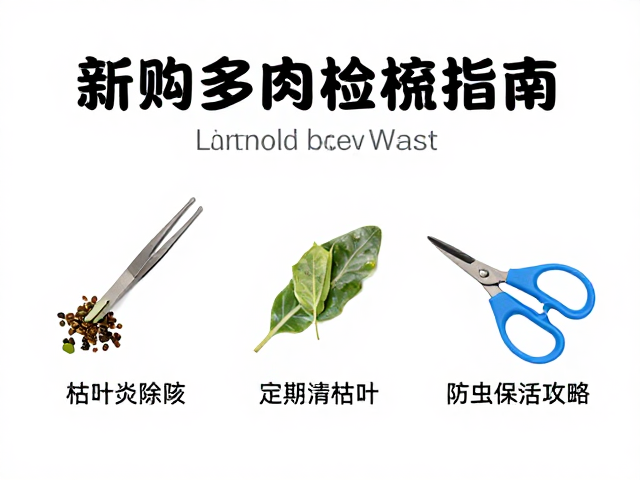 日常维护:枯叶清理与微环境调控