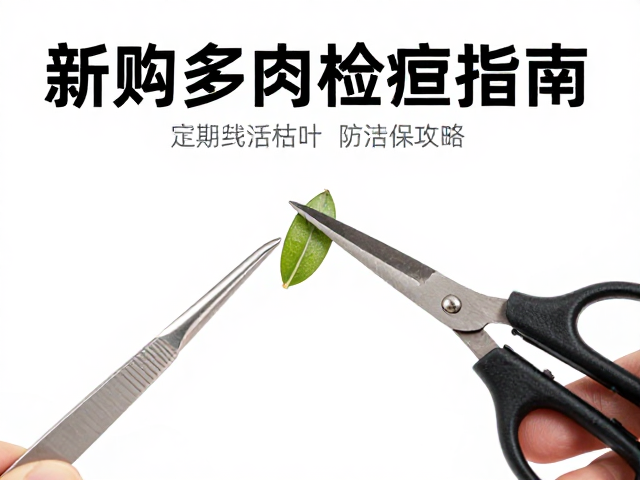物理清除法:剪刀与镊子的精准操作