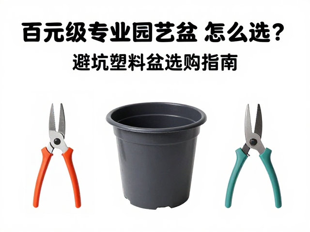 避坑指南:识别低价产品的隐形缺陷