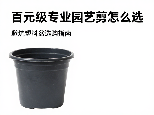 日常维护:延长使用寿命的关键细节