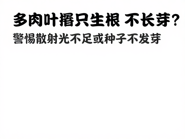 多肉叶插只生根不长芽？警惕散射光不足或种子不发芽原因