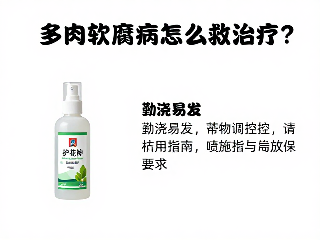 环境调控与“护花神”类药剂的科学应用