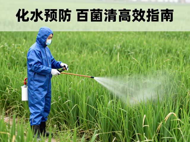 百菌清喷洒的高效执行规范
