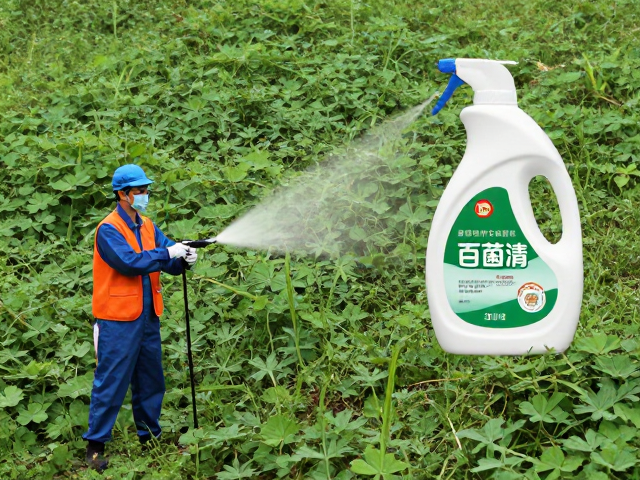 综合防控体系的协同增效