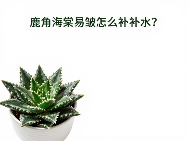 少量慢浇法的具体操作与水分渗透