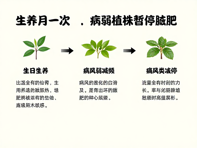 生长期每月一次，通风弱减频，病弱植株暂停施肥