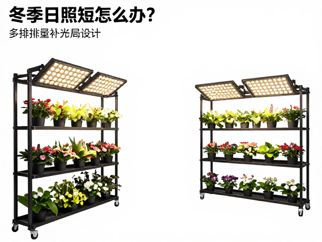 全光谱LED补光灯的安装与参数设置