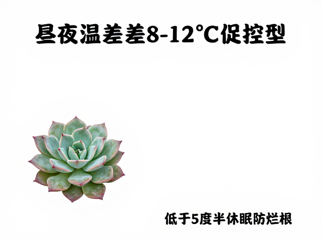 季节性过渡期的温差利用与风险规避