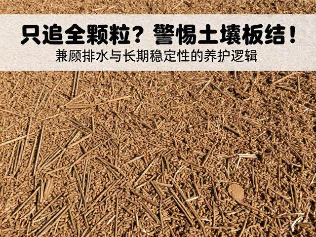 只追全颗粒？警惕土壤板结！兼顾排水与长期稳定性的养护逻辑