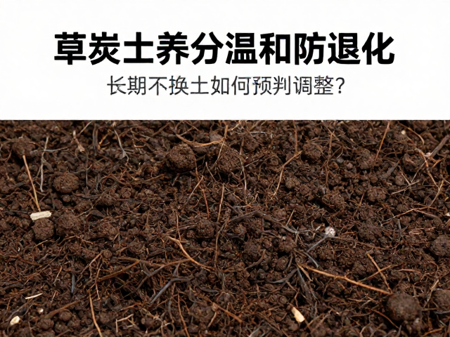 水质与施肥策略的动态调整