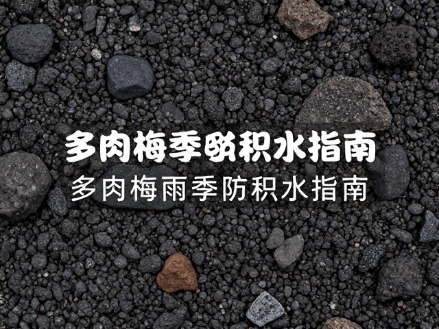 火山岩颗粒配土技巧，多肉梅雨季防积水指南
