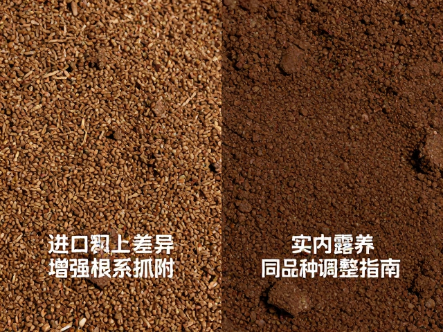进口颗粒土配土差异，增强根系抓附，室内露养同品种调整指南
