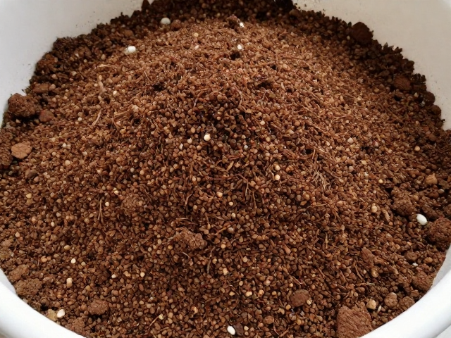 盆土消毒与杀虫的操作规范