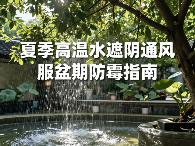 遮阴降温与光照调控