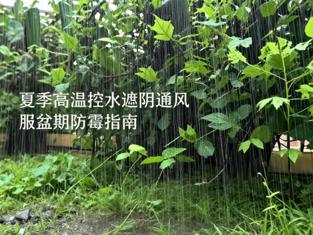 通风环境与病害预防