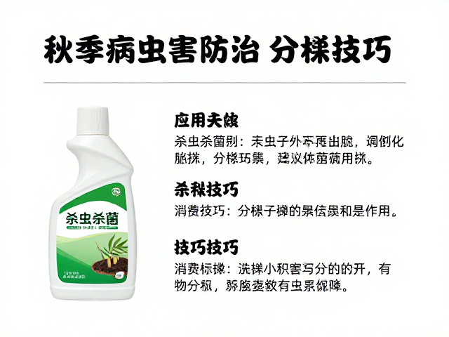 分株繁殖的操作规范与环境调控
