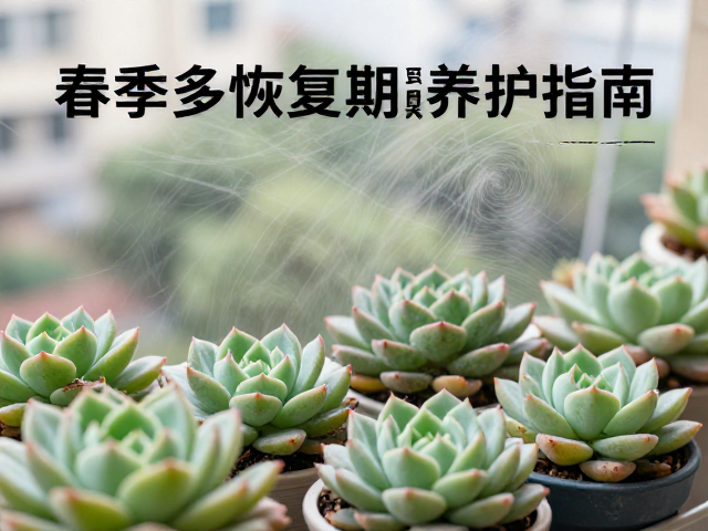 强风天气下的物理防护与固定措施