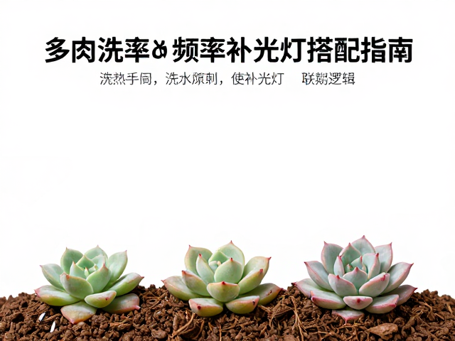 环境光照与浇水周期的联动逻辑