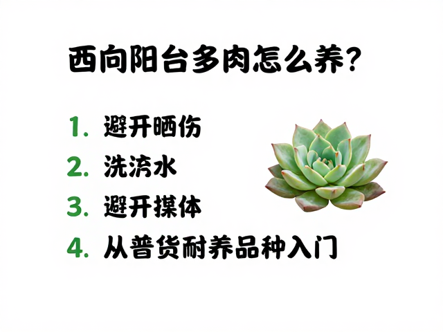 浇水逻辑与土壤配比策略