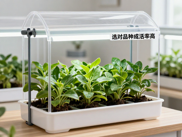 环境调控与养护管理的执行细节