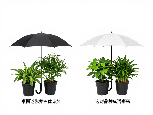 桌面迷你养护优劣势，遮雨遮阴可控性强，选对品种成活率高