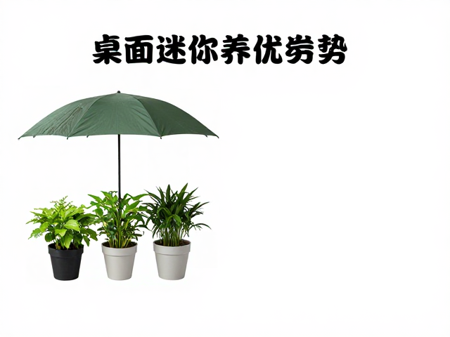 品种选择与成活率的从属关系