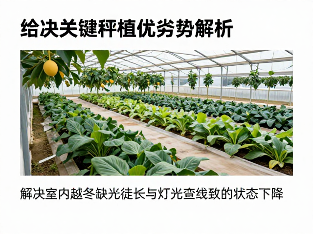 综合调控体系构建与长期效益分析