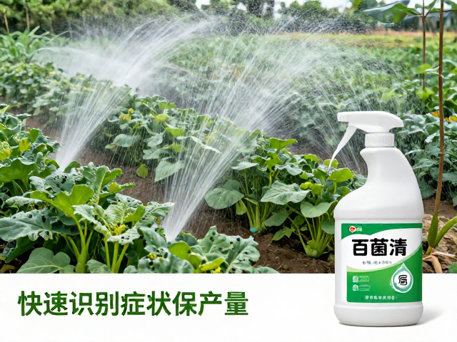 降温控水改善田间微环境
