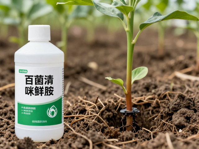 微生物菌剂灌根对根系环境的改良作用
