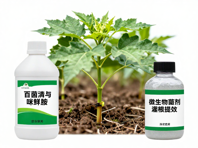 科学搭配与施药技术的关键细节