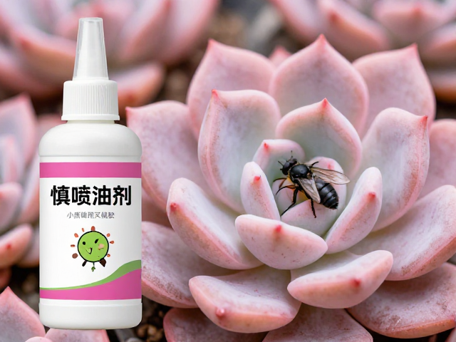 带粉多肉慎喷油剂！小黑飞用灭蝇胺，农药安全使用规范与注意事项