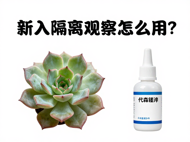 创口处理与代森锰锌的科学施用方法