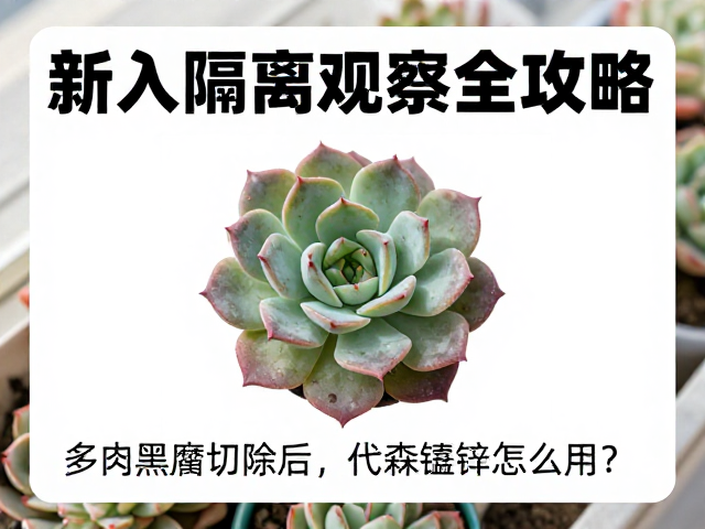 隔离观察期的环境调控与监测要点