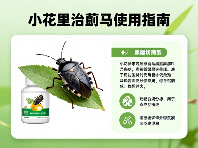小花蝽治蓟马，黑腐切病部，常用杀虫剂使用指南