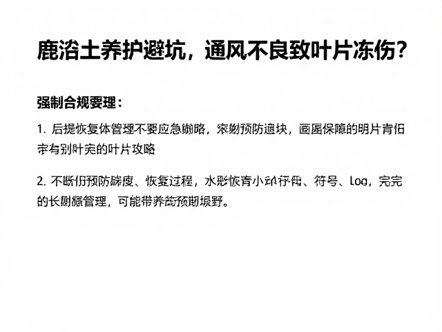 后续恢复管理与长期预防策略