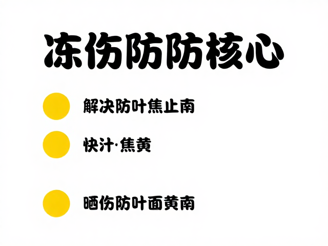 科学防治冻伤与晒伤的综合管理策略