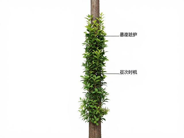 主干走势梳理与层次保留技法