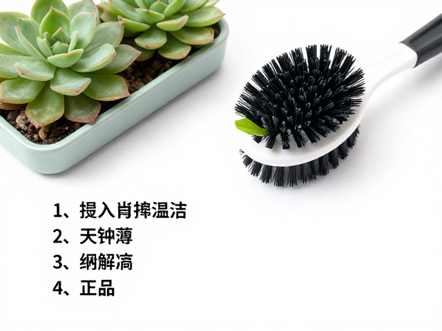 叶面清洁刷的使用场景与材质差异