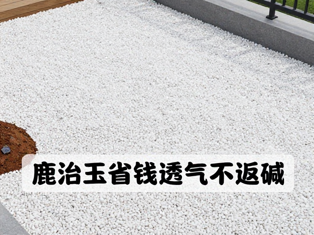 常见误区与维护要点