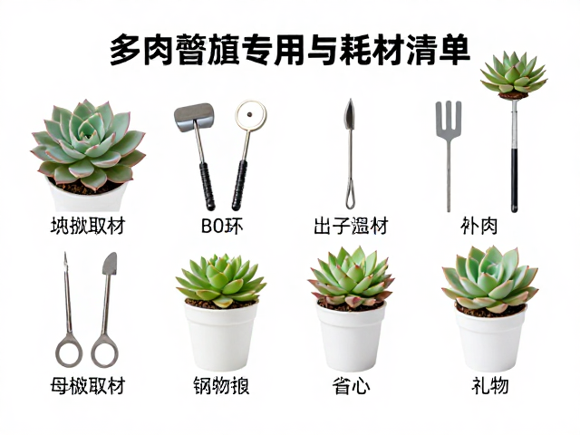 多肉繁殖专用工具与耗材清单，母株取材技巧与冬季保温温度指南
