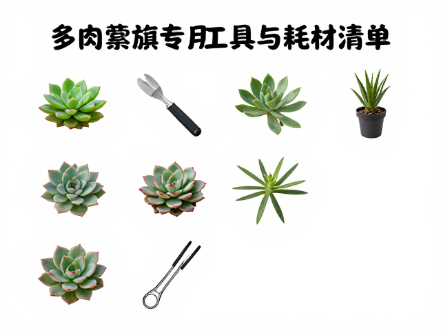 母株取材技巧