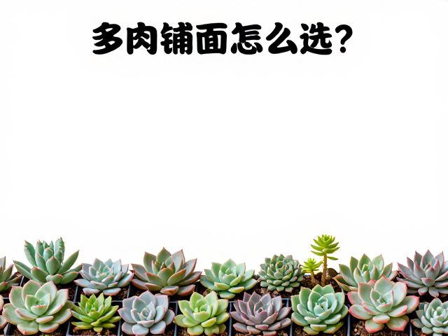 避坑指南与常见误区