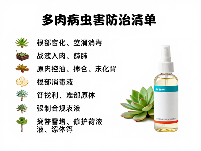 小包装药剂的适用场景与精细化护理