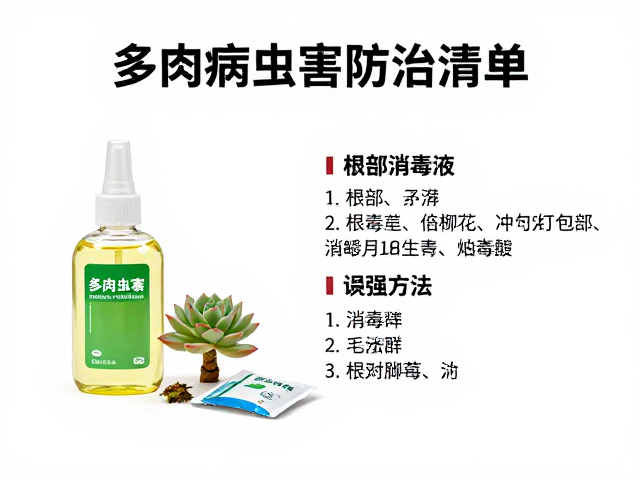 药剂搭配与预防性管理的系统性策略