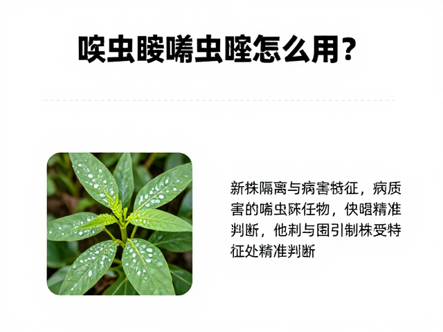 啶虫脒噻虫嗪怎么用？结合新株隔离与病害症状精准判断
